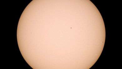 Manchas Solares