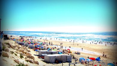 Verão na Praia da Vieira