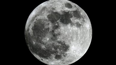 Super Lua 2012