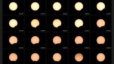 Eclipse Solar Parcial - 3 de Novembro de 2013