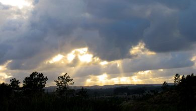 Crepuscular Rays