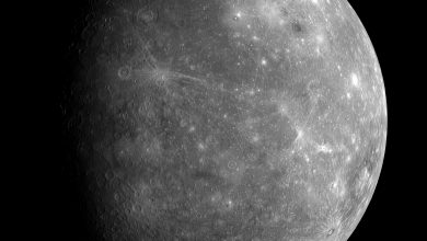 PIA10172: MESSENGER's First Look at Mercury's Previously Unseen Side