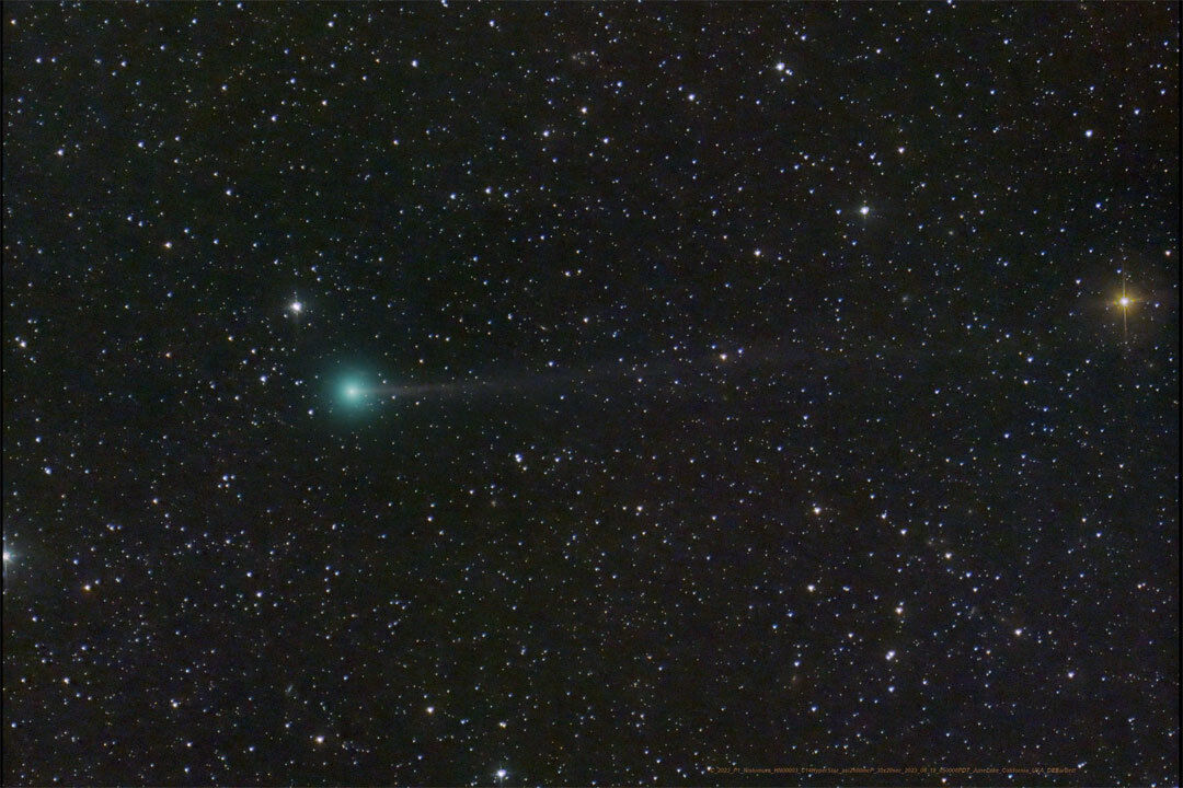 Cometa: C/2023 P1 (Nishimura)