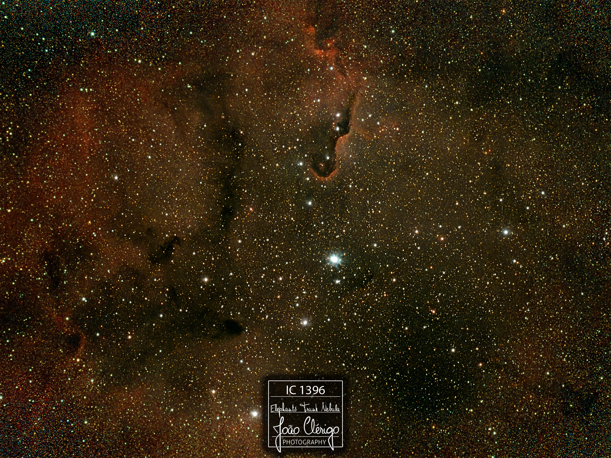 IC 1396 @ Cepheus